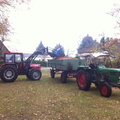 2011 11 19 Laubharkaktion und Erbseneintopf beim Backhaus 014